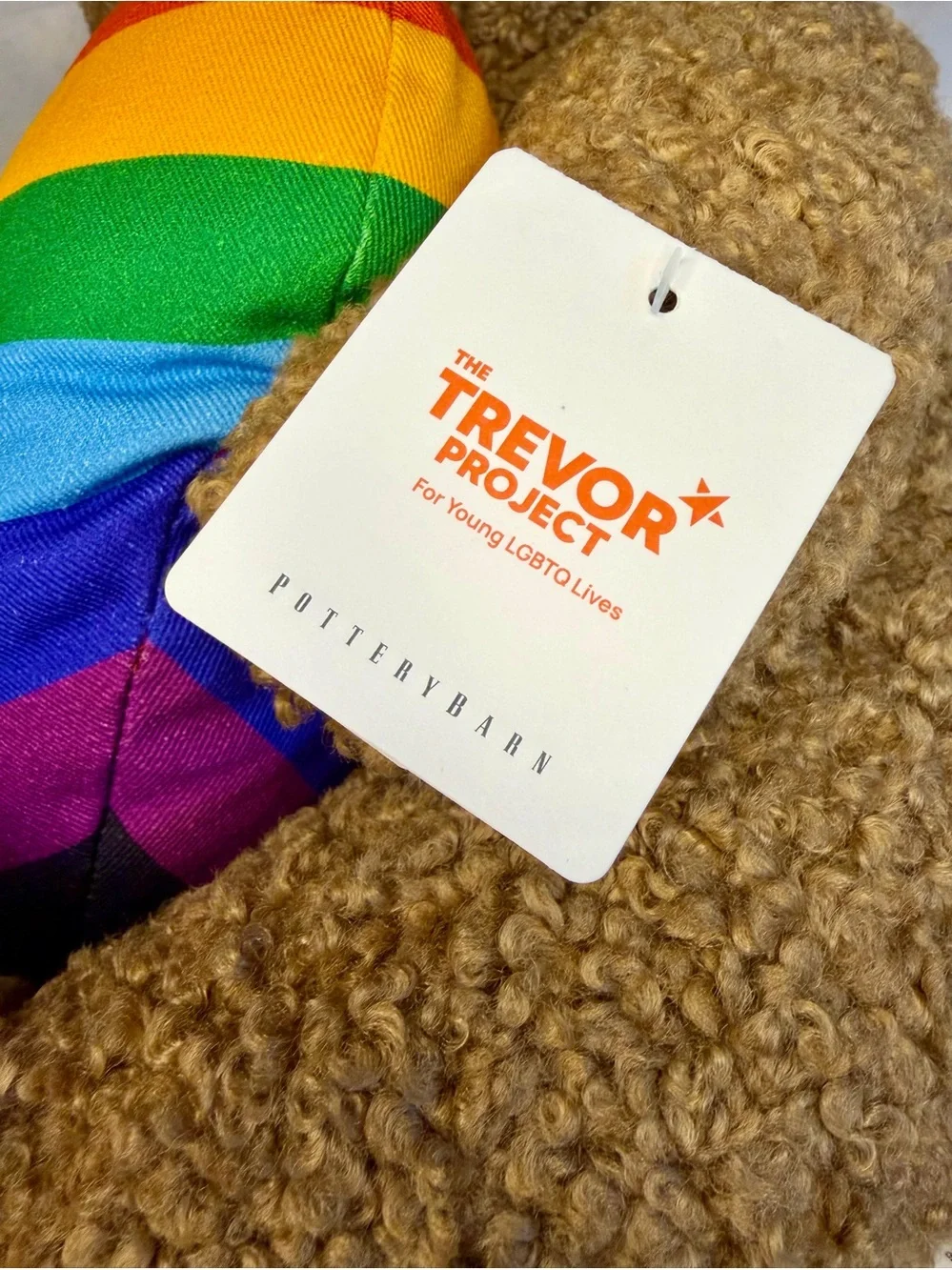 Pottery Barn Teddy Shaped Pillow- Trevor Project 🌈 FREE SHIPPING!